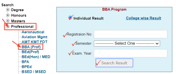 BBA (Prof) Exam Result 2022
