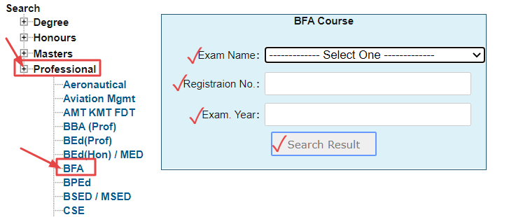 BFA Exam Result